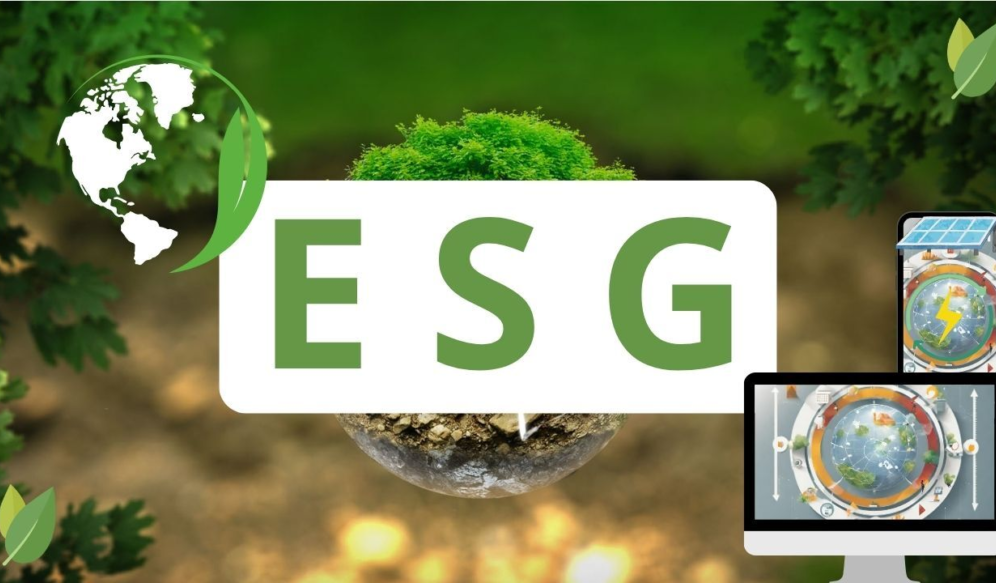 Noções Básicas de ESG